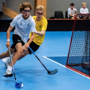 Team Sweden anmälan